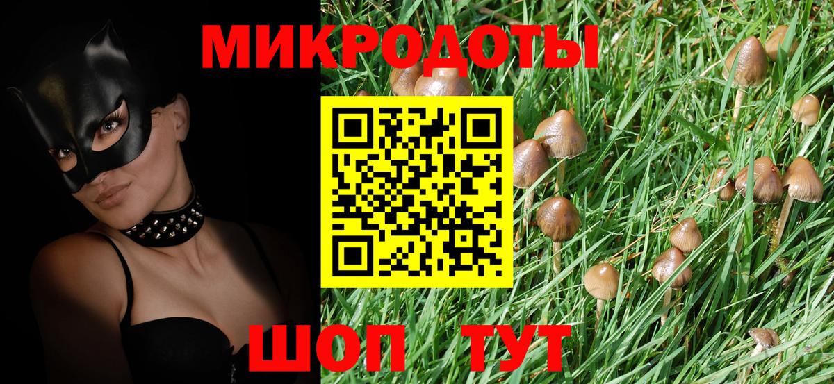 Галлюциногенные грибы Magic Shrooms  Вход с VPN  Уварово  Псилоцибиновые грибы ЛСД 